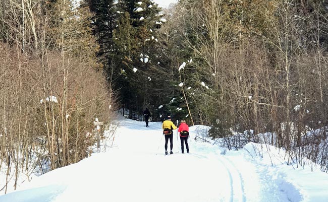 Two skiers on Stokely Creek trail