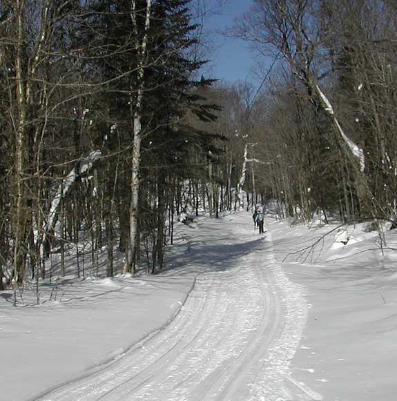 Trail photo from the Wabos Loppet cross country ski tour