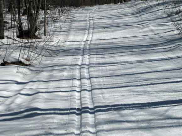 Valley Spur cross country ski trails