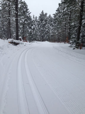 Cross country ski trail at Forbush Corner, December 2013