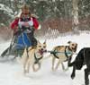 Toko helps sled dog world championship victory