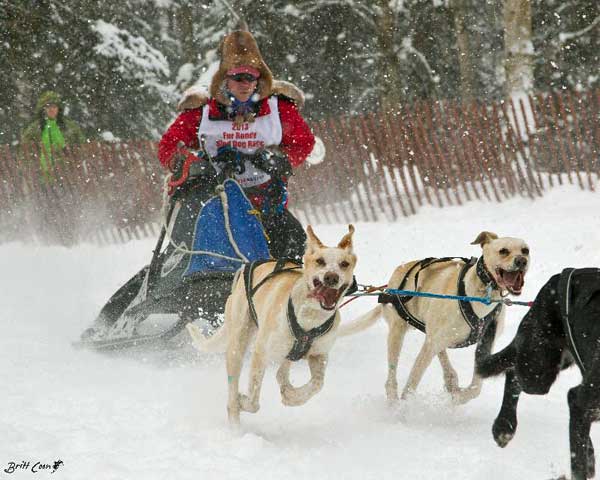 Toko xc ski wax helps sled dog world championship victory. Photo Credit: Britt Coon, www.brittcoon.com