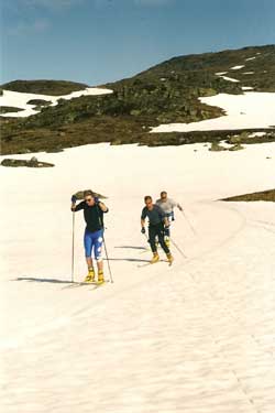 Cross country skiing in the summer in Sognefjell, Norway