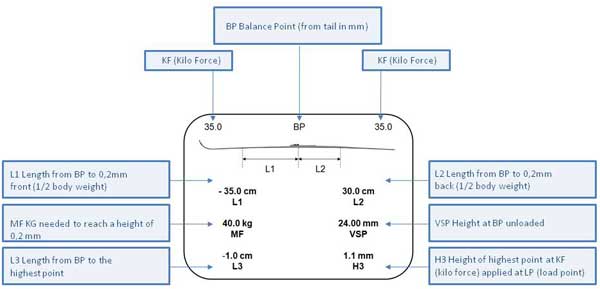 Salomon Nordic Ski Sizing Chart