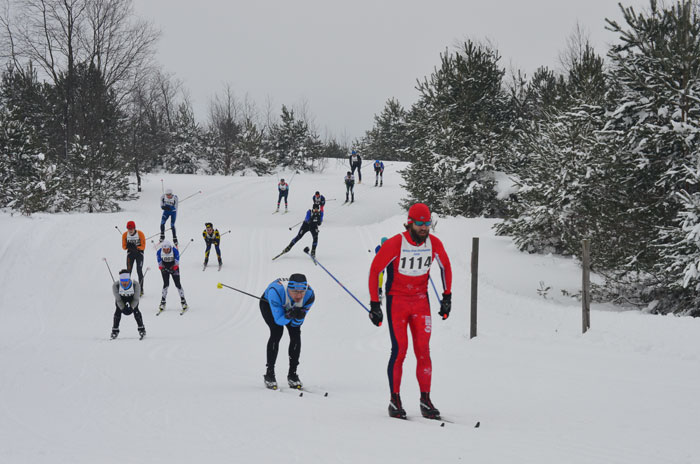 White Pine Stamped cross country ski racers