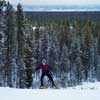 On snow at the Yellowstone Ski Festival