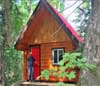 Stokely Creek Lodge new cabin