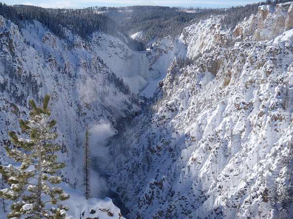 1-24 Yellowstone 193 Lower Falls & Yellowstone River from Artist Point on S Rim