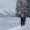 Yellowstone backcountry XC skiing experience