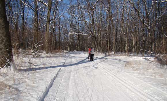 Huron Meadows Metropark cross country ski trails for skating and classic skiing