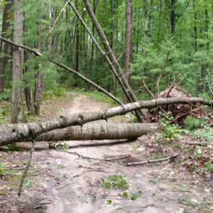 Vasa and TART trails a mess after storms