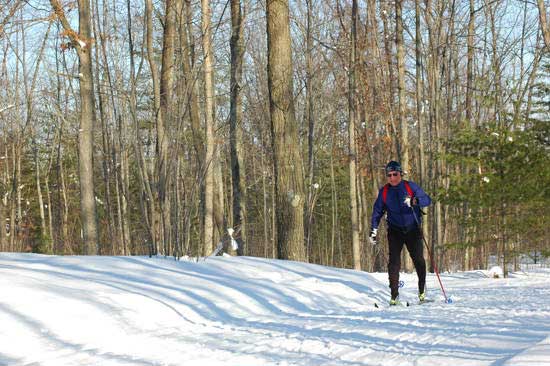 Ted cross country ski tour on Vasa weekend