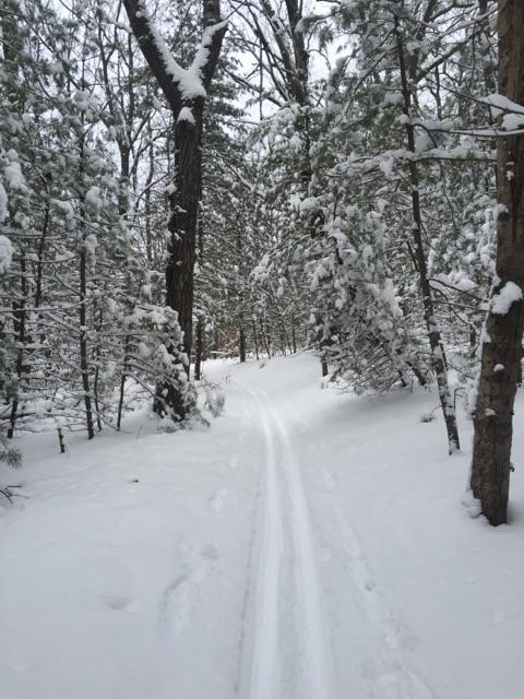 Cadillac Pathway