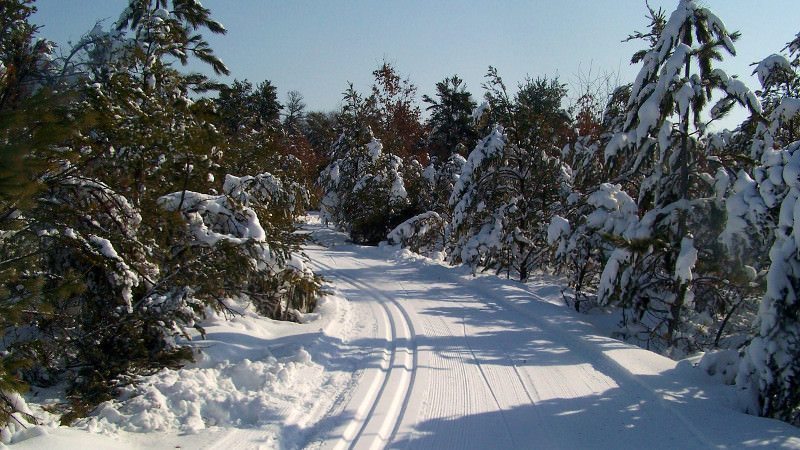 Cross Country Ski Headquarters