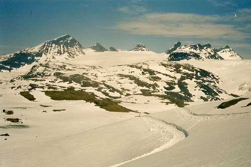 Cross country skiing in the summer in Sognefjell, Norway
