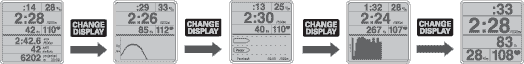 SkiErg display options