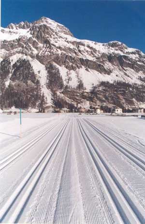 Race tracks