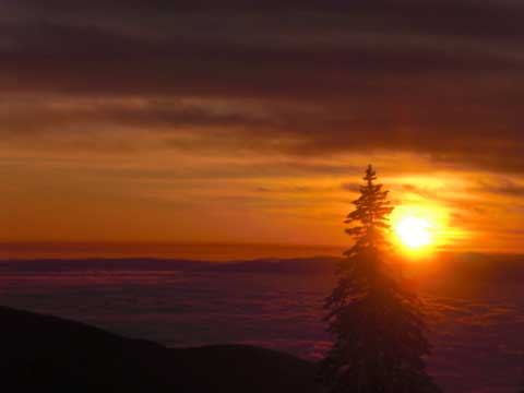 NorAm sky