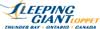 Sibley Ski Tour becomes Sleeping Giant Loppet