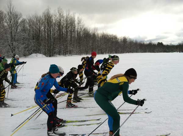 More junior xc skiers