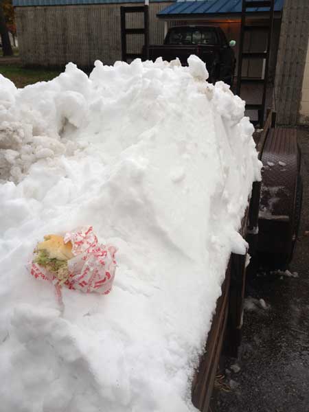 Ski Fest load of snow for XC ski trail