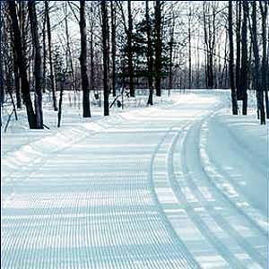 Ross and Vanias top skiers in Forbush Corner Time Trial