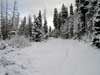 Lake Tahoe and Royal Gorge: Snow!