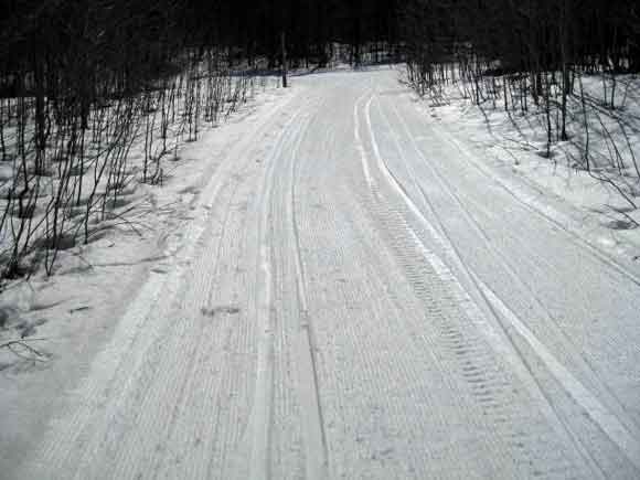 Valley Spur cross country ski trails