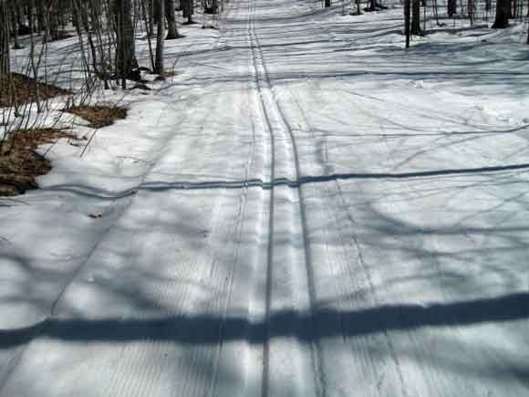 Valley Spur cross country ski trails