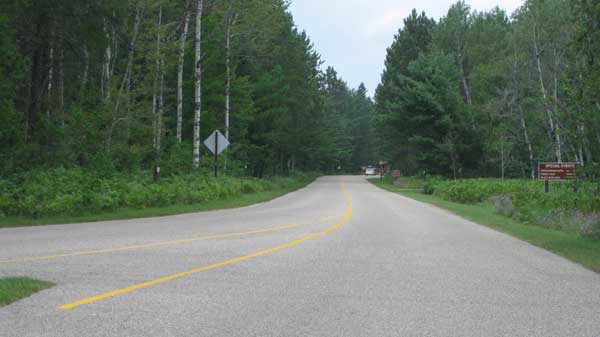 Roller skiing in Hartwick Pines State Park