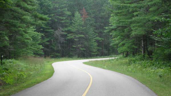 Roller skiing in Hartwick Pines State Park