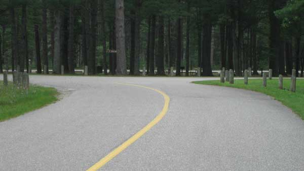 Roller skiing in Hartwick Pines State Park
