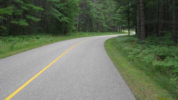 Roller skiing in Hartwick Pines State Park