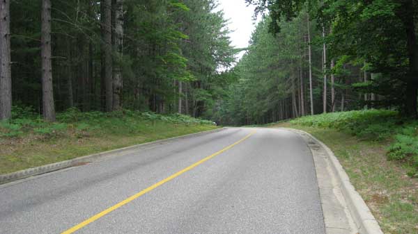 Roller skiing in Hartwick Pines State Park