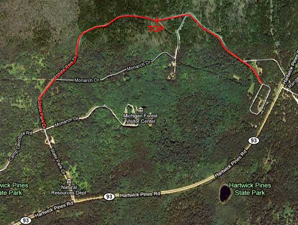 Roller skiing in Hartwick Pines State Park