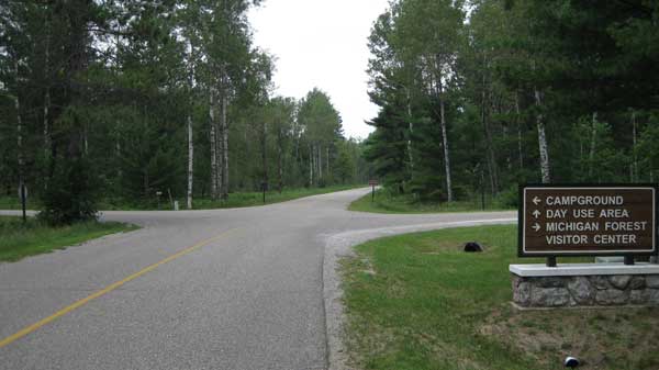 Roller skiing in Hartwick Pines State Park