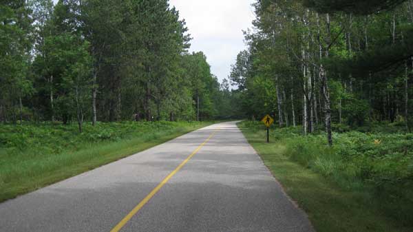 Roller skiing in Hartwick Pines State Park