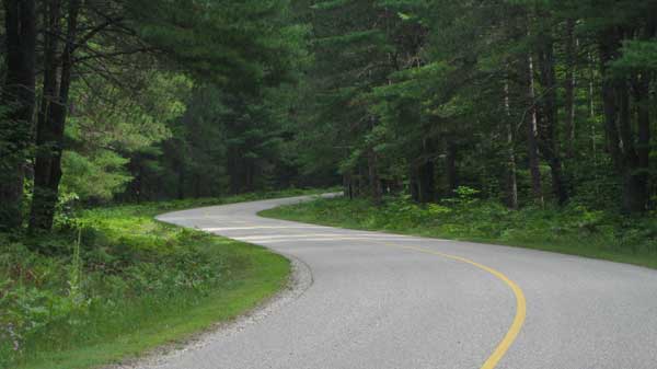 Roller skiing in Hartwick Pines State Park
