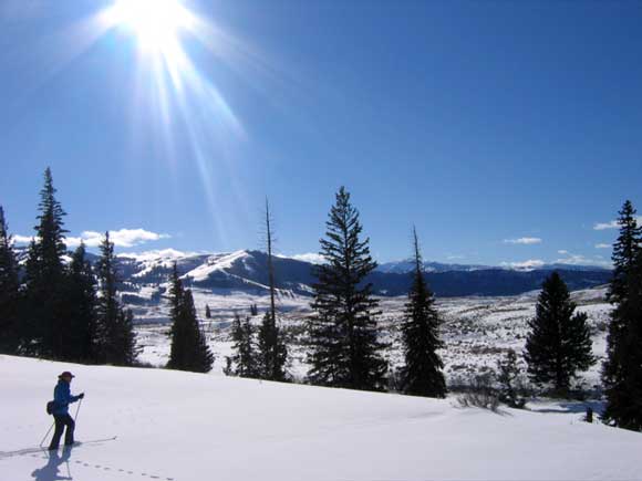 Cross country skiing in Yellowstone National Park
