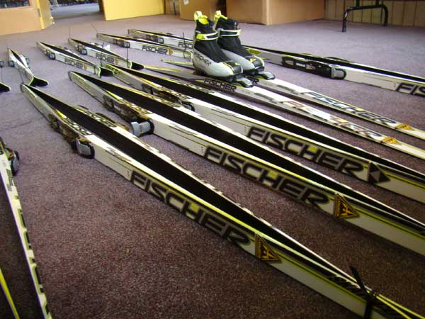 Huron Meadows Metropark rents Fischer SC skate skis