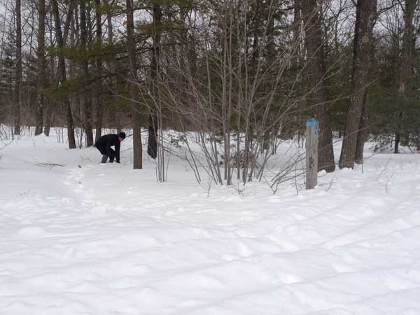 cross country ski across michigan