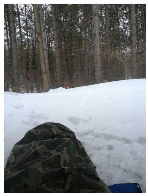 cross country ski across michigan