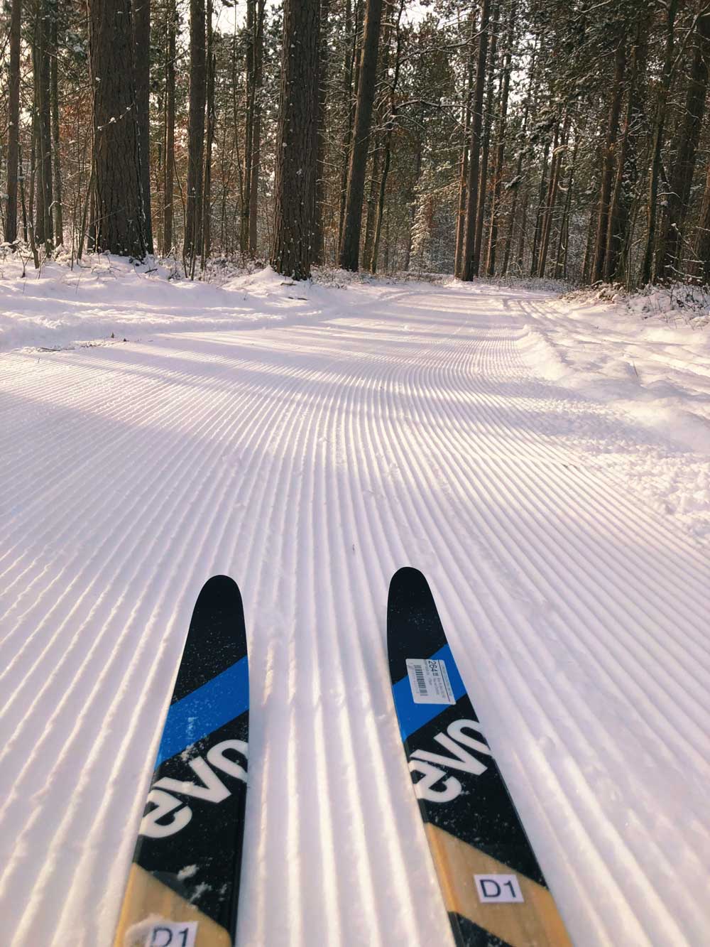 Fresh groom on the cross country ski trails