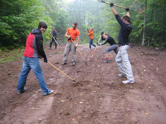 Trail clearing on the Birkie Trail