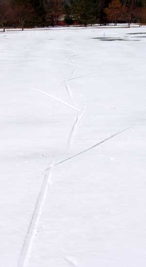 Double-push on cross country skis