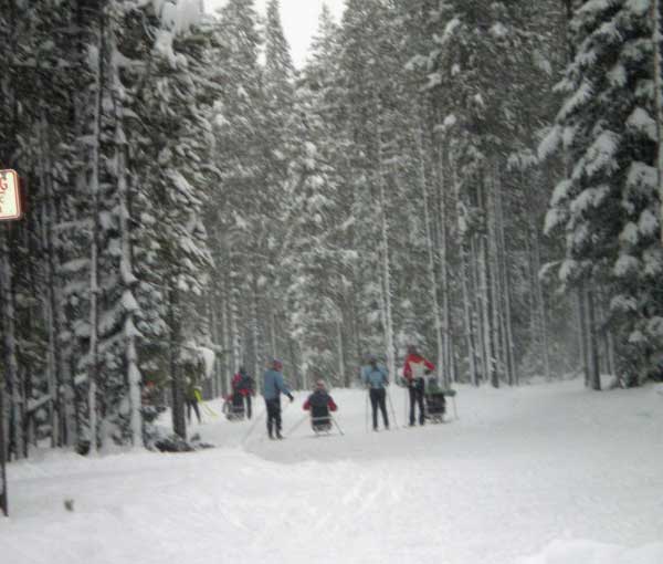 Yellowstone Ski Festival - cross country skiing