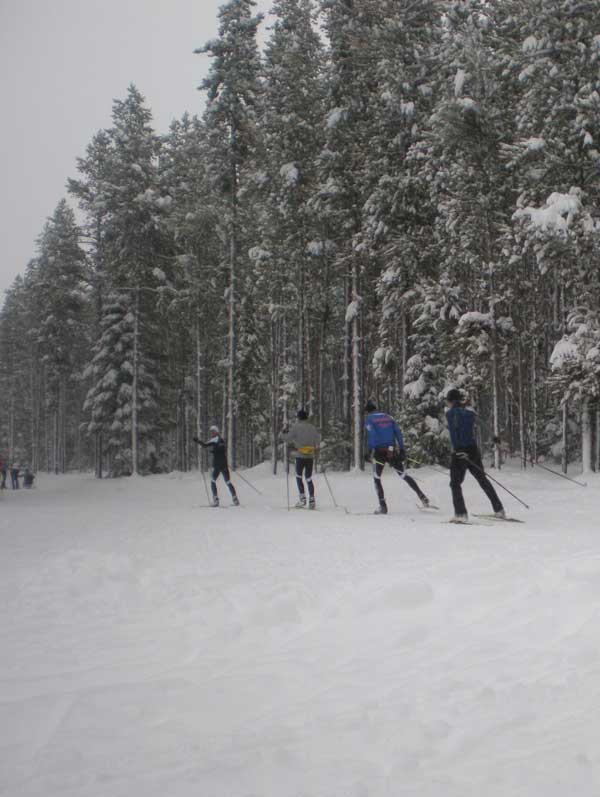 Yellowstone Ski Festival - cross country skiing