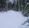 Feature image for Vasa Trail in Great Shape for This Weekend