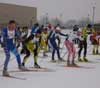 Feature image for The White Pine Stampede: Who Knew What to Expect?