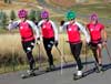 Feature image for Olympians headline 2012 Cross Country Ski Team